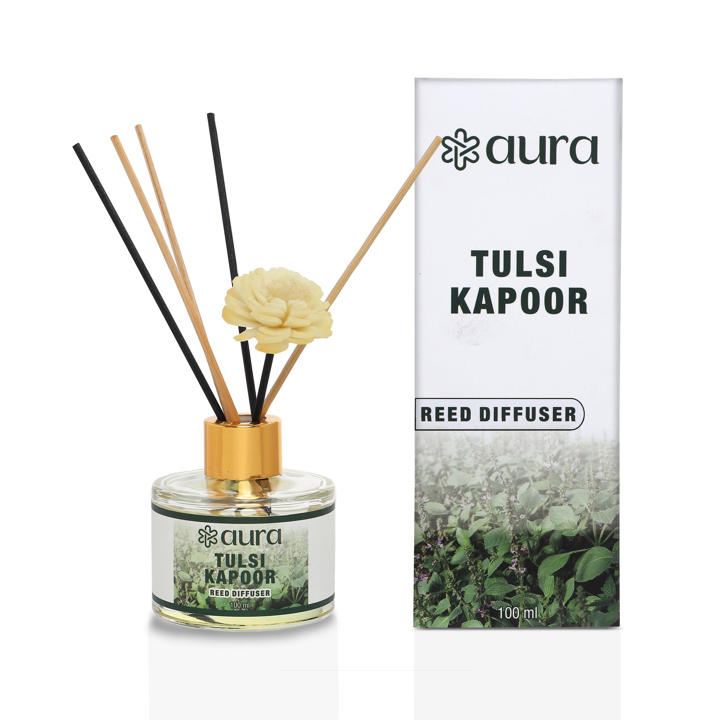 Tulsi Kapoor